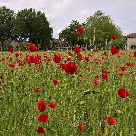 Frühstückspension Zevenkamp Rotterdam